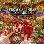 Christmas Limited Edition Seed Calendar 2027 — garden display
